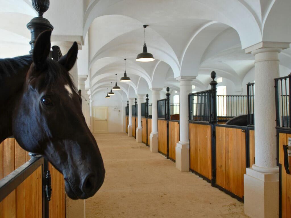 Hangeleuchten fur den Reitstall im Industrialstil Hangeleuchten fur den Reitstall im Industrialstil