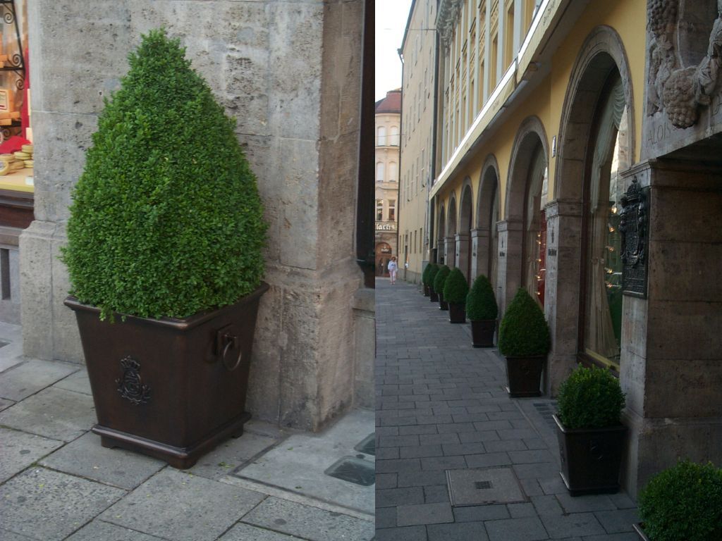 dallmayr-muenchen-pflanzentrog-blumentropf-bronzeguss