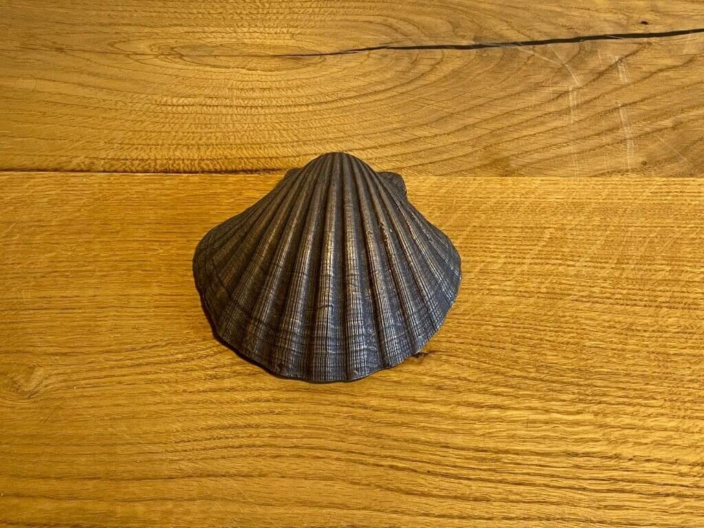 Bronzegussmuschel Bronzegussmuschel