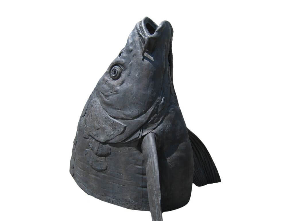 wiener_wasserspielplatz_fischPVVyveoHWMUVP